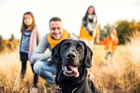 Dog Daycare Better Dog Co. founder working with shelter dogs in Charlottesville VA